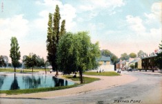 Barnes Pond